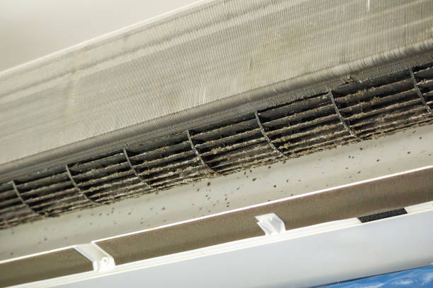 Best Air Quality Test  in La Quinta, CA